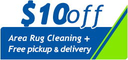 $10 off - area rug cleaning